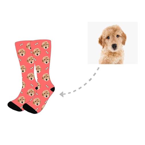 Dog Custom Socks